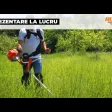 Motocoasă de tuns gazon/iarbă pe benzină Ruris DAC 510, putere 3.5 CP, 62 CC, motor TEZ, 2 timpi, diametru tăiere 21 cm, conține: bobină fir + disc 3 lame + disc 8 dinți + disc 80 dinți Vidia