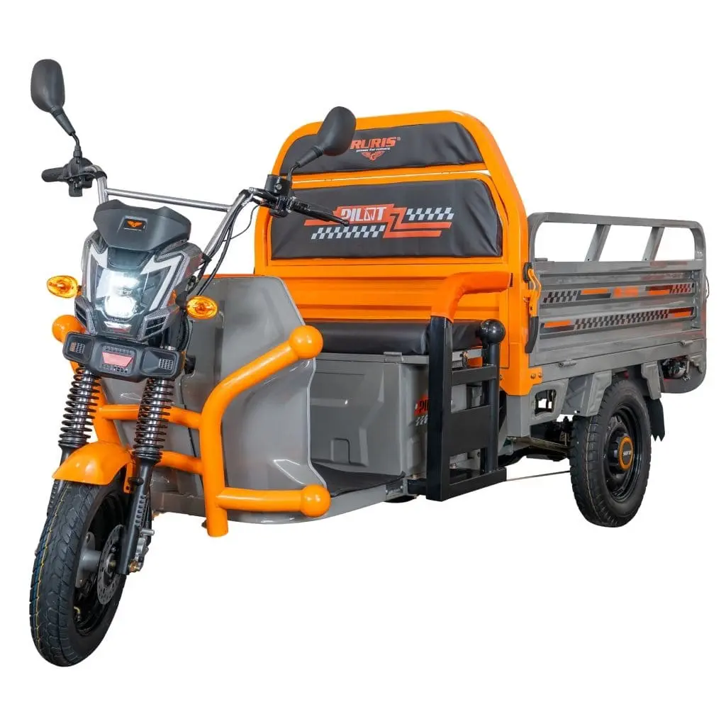 Triciclu electric RURIS Pilot 3120G gri pe stoc la RURIS Transilvania în Brașov