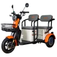 Triciclu electric RURIS Pilot 3020A pe stoc la RURIS Transilvania în Brașov