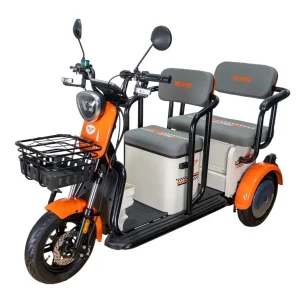 Triciclu electric RURIS Pilot 3020A pe stoc la RURIS Transilvania în Brașov