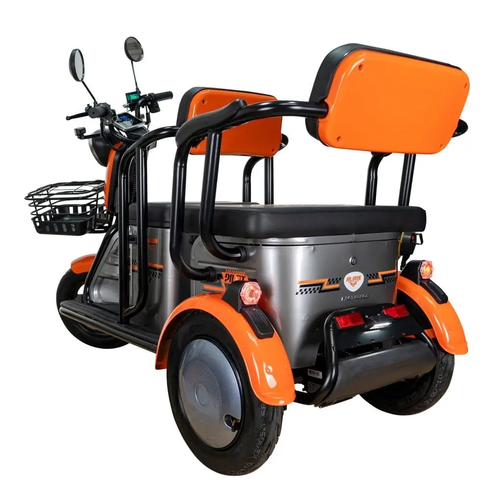 Triciclu electric RURIS Pilot 3020G pe stoc la RURIS Transilvania în Brașov