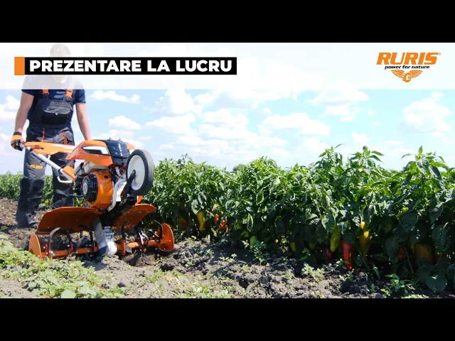 motosapa-semiprofesionala-ruris-7500 (1) Motosapă semiprofesională RURIS 7500 ACC4, motor 7 CP, transmisie pe curea și lanț, lățime de lucru reglabilă, iluminare LED și compatibilitate cu multiple accesorii pentru lucrări agricole.