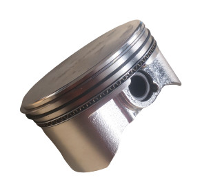 Piston RURIS, cod PSST1000-2-15